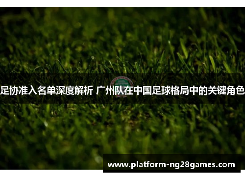 足协准入名单深度解析 广州队在中国足球格局中的关键角色