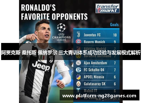 阿贾克斯 桑托斯 佩纳罗尔 三大青训体系成功经验与发展模式解析