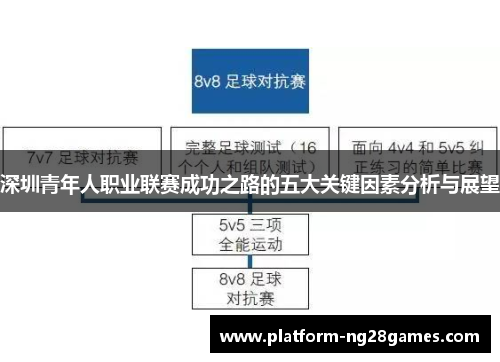 深圳青年人职业联赛成功之路的五大关键因素分析与展望