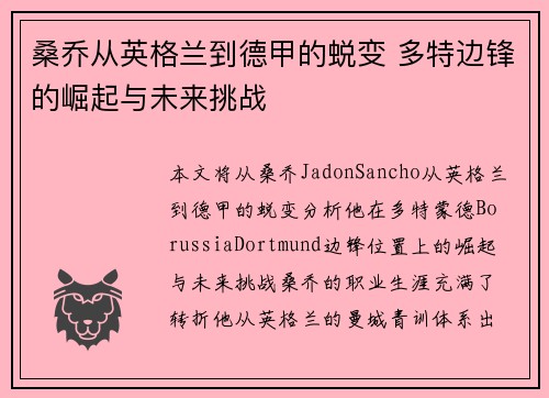 桑乔从英格兰到德甲的蜕变 多特边锋的崛起与未来挑战
